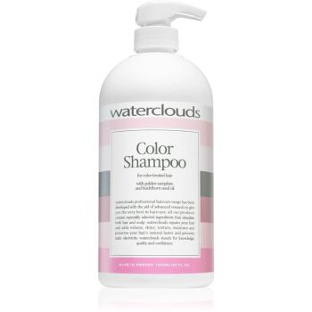 Waterclouds Color szampon do ochrony koloru 1000 ml