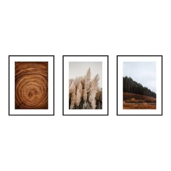 Obrazy zestaw 3 szt. 30x40 cm Woods