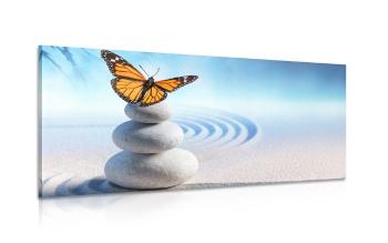 Obraz równowaga kamieni i motyl - 100x50