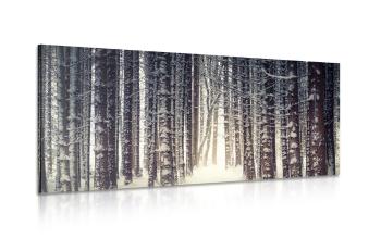 Obraz las pokryty śniegiem - 120x60