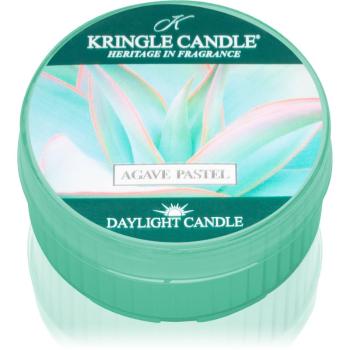 Kringle Candle Agave Pastel świeczka typu tealight 42 g
