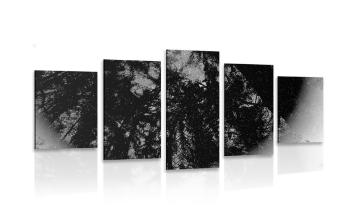5 części obraz czarno-biały las tropikalny - 200x100
