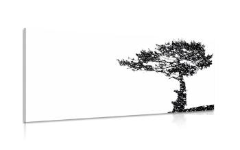 Obraz sylwetka drzewa - 120x60