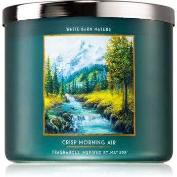 Bath & Body Works Crisp Morning Air świeczka zapachowa 411 g