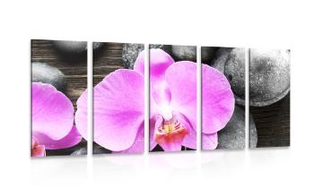 5-częściowy obraz piękna orchidea i kamienie