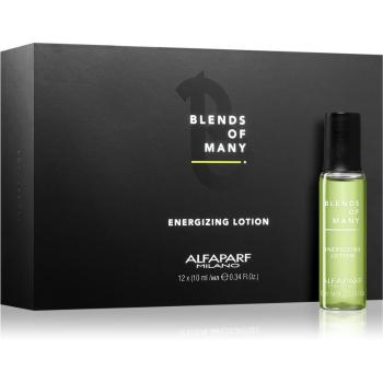 Alfaparf Milano Blends of Many Energizing serum energizujące do włosów suchych i zniszczonych 12 x 10 ml
