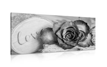 Obraz róża w wersji czarno-białej Love - 100x50