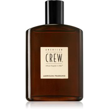 American Crew Americana Fragrance woda toaletowa dla mężczyzn 100 ml