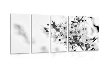 5-częściowy obraz kwiaty wiśni w wersji czarno-białej - 200x100