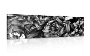 Obraz retro kwiatowe pociągnięcia w wersji czarno-białej - 150x50