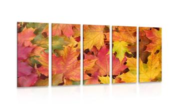5-częściowy obraz liście jesieni - 100x50
