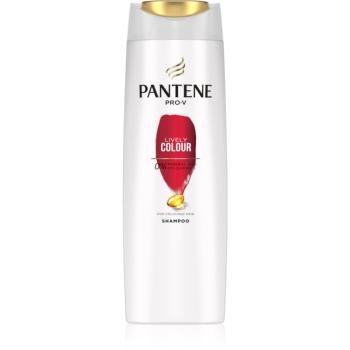 Pantene Lively Colour szampon do ochrony koloru 250 ml