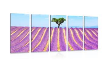 5-częściowy obraz prowansalskie pola lawendy - 200x100