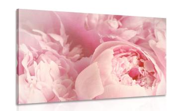 Obraz płatki kwiatów - 90x60