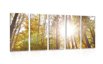 5-częściowy obraz las w jesiennych barwach - 100x50