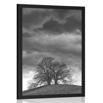 Plakat czarno-białe samotne drzewa - 40x60 black