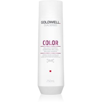 Goldwell Dualsenses Color szampon ochronny do włosów farbowanych 250 ml