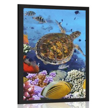 Plakat podwodny świat - 40x60 silver
