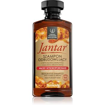 Farmona Jantar High Porosity Hair szampon odżywczy do nabłyszczania i zmiękczania włosów 330 ml