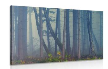 Obraz tajemniczy las - 120x80