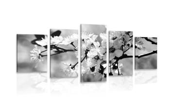 5-częściowy obraz kwiat wiśni w wersji czarno-białej - 100x50