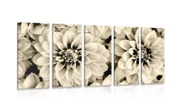 5-częściowy obraz pastelowe kwiaty dalie w kolorze sepii - 200x100