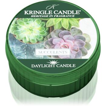 Kringle Candle Succulents świeczka typu tealight 42 g