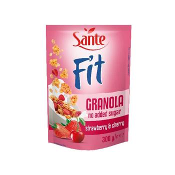 SANTE Fit Granola - 300gZdrowa Żywność