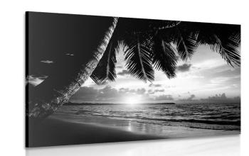 Obraz wschód słońca na karaibskiej plaży w wersji czarno-białej