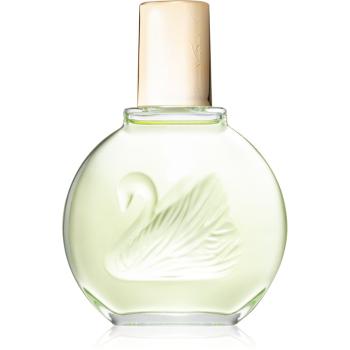 Gloria Vanderbilt Jardin a New York woda perfumowana dla kobiet 100 ml