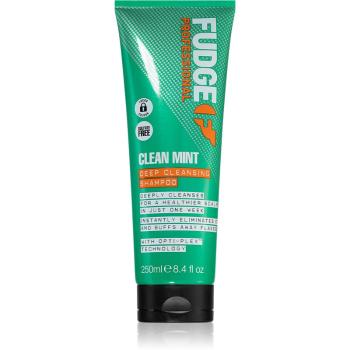 Fudge Clean Mint Shampoo szampon do włosów przetłuszczających się 250 ml