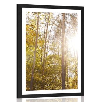 Plakat z passe-partout las w jesiennych kolorach - 40x60 black