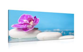Obraz białe kamienie Zen i orchidea - 100x50