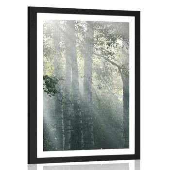 Plakat z passe-partout promienie słońca w mglistym lesie - 60x90 black