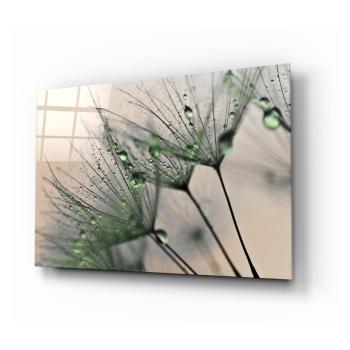Szklany obraz Insigne Green Dandelion, 72x46 cm