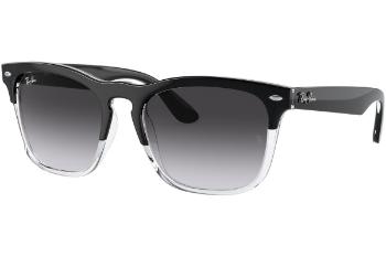 Ray-Ban Steve RB4487 66308G ONE SIZE (54)