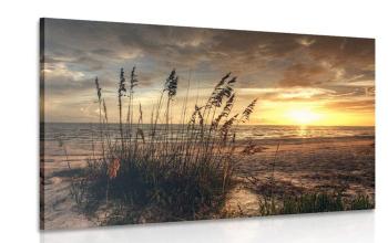 Obraz zachód słońca na plaży - 90x60