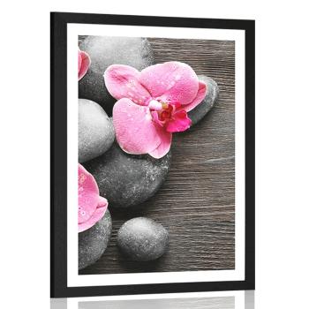 Plakat z passe-partout elegancka kompozycja z kwiatami orchidei - 20x30 silver
