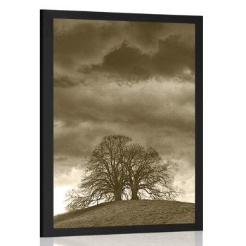 Plakat sepiowe samotne drzewa - 30x45 black