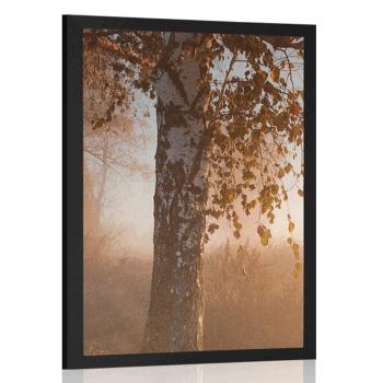 Plakat mglisty jesienny las - 60x90 black