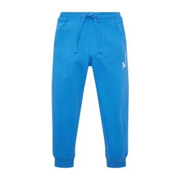 TOM TAILOR Spodnie joggingowe Strong Palace Blue