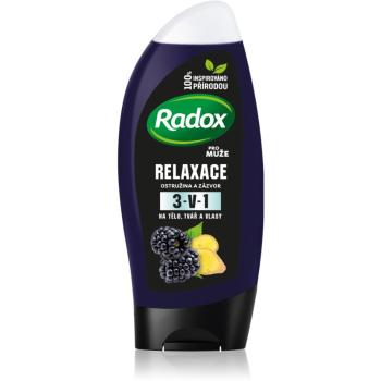 Radox Men Feel Wild żel pod prysznic do twarzy, ciała i włosów dla mężczyzn Blackberry & Ginger 250 ml