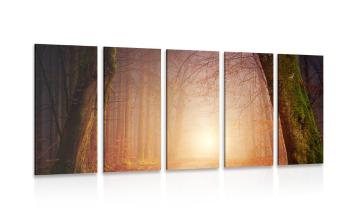 5-częściowy obraz las w bajkowych kolorach - 200x100