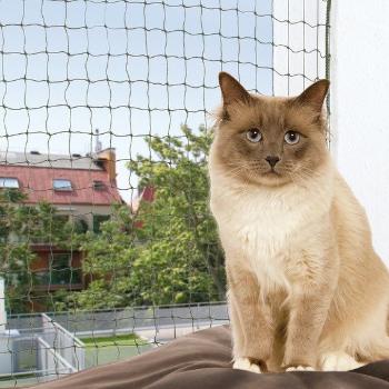 TRIXIE Siatka na balkon dla kota 4 x 3 m zielona