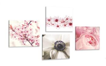 Zestaw obrazów delikatność kwiatów - 4x 60x60