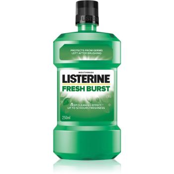 Listerine Fresh Burst płyn do płukania jamy ustnej przeciw płytce nazębnej 250 ml