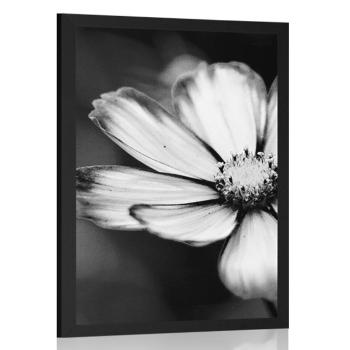 Plakat bajkowy kwiat ogrodowy w czarno-białym wzorze