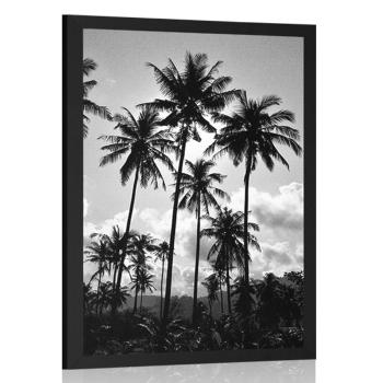 Plakat palmy kokosowe na plaży w czarno-białym kolorze - 20x30 silver