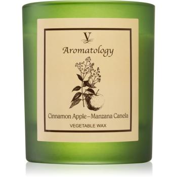 Vila Hermanos Aromatology Cinnamon and Apple świeczka zapachowa 200 g