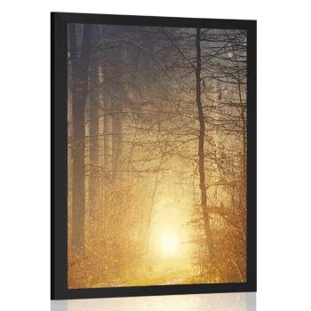 Plakat światło w lesie - 30x45 white